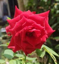 1605096954_1.jpg
