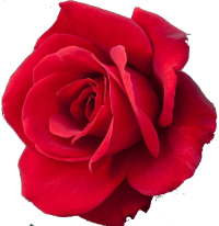 1617719561_2.PNG