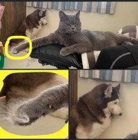 1621845763_1.jpeg