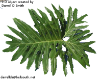 1640318601_1.png