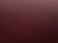 1653010302_1.jpeg