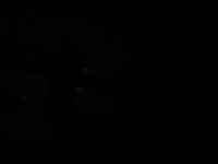 1655181515_1.jpeg