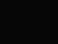 1660781532_1.jpg