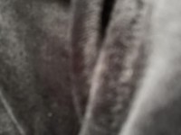1666078065_1.jpeg