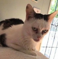 1678322674_1.jpeg