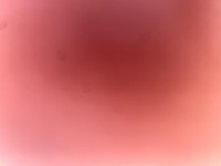 1696480464_1.jpg