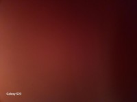 1703833330_1.jpg