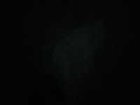 1708390918_1.jpeg