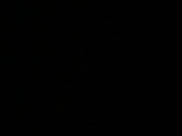 1713731035_1.jpeg