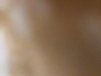 1730073195_2.jpg