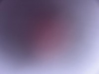 1735155784_1.jpg