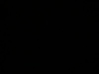1711822872_3.jpeg
